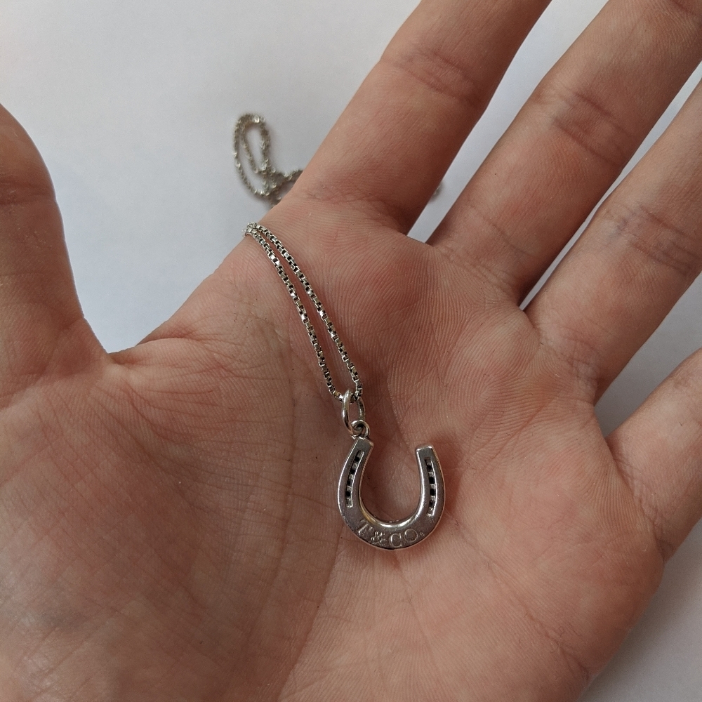 RARE TIFFANY AND CO horseshoe charm